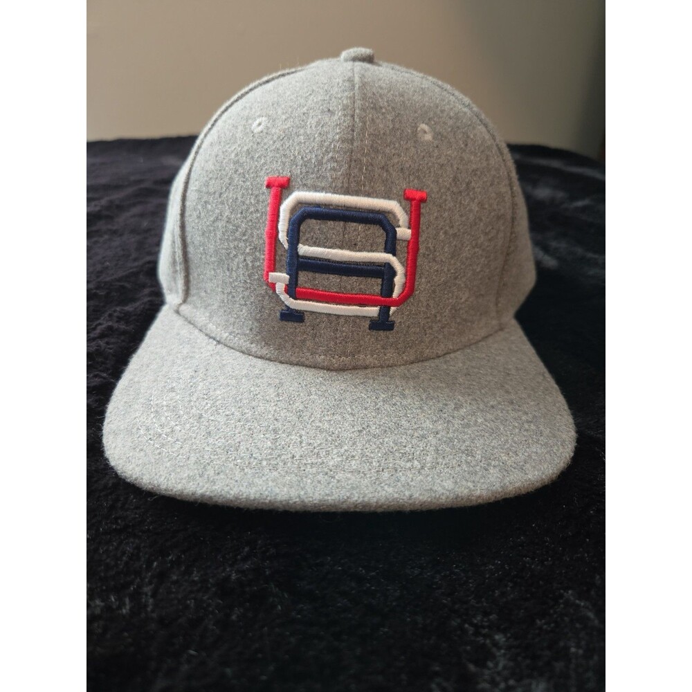 RSVLTS Mens USA Snapback Hat Gray Wool Blend Roosevelts Dave Mighty Things NWOT